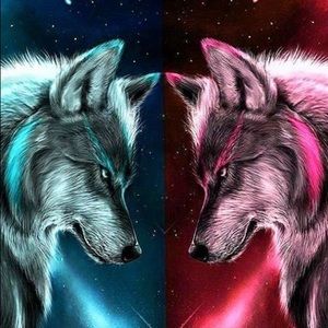 Meet your Posher, Zack